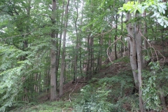 IMG_9242.JPG