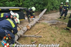 IMG-20210717-WA0001