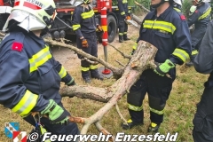 IMG-20210717-WA0003