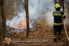 Waldbrand_001