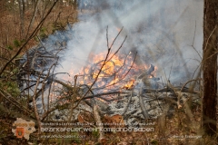 Waldbrand_003