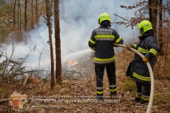 Waldbrand_005