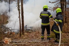 Waldbrand_006