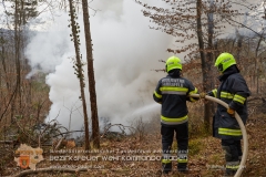 Waldbrand_007