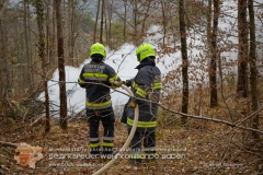 Waldbrand_008