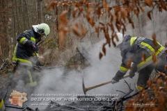 Waldbrand_010