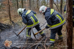 Waldbrand_014