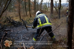 Waldbrand_015