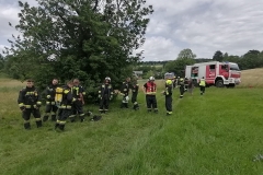 20230623 Traktorbrand in Nöstach/Hafnerberg NÖ Bezirk BADEN