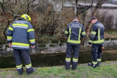 20240312 S2 Gewässerverunreinigung in Berndorf Veitsau Bezirk BADEN NÖ