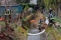 20240312 S2 Gewässerverunreinigung in Berndorf Veitsau Bezirk BADEN NÖ