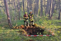 IMG-20240414-WA0068