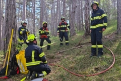 IMG-20240414-WA0069