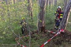 IMG-20240414-WA0070