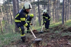 IMG-20240414-WA0074