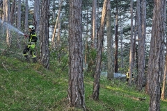 IMG-20240414-WA0086