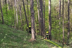 IMG-20240414-WA0087