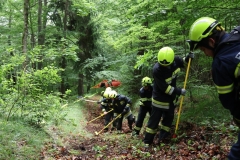 IMG_2921