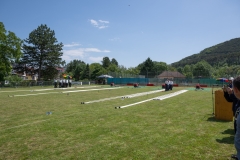 AFLB_StVeit_7