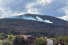 20240723_Waldbrand in Grillenberg - Gemeinde Hernstein NÖ Bezirk BADEN