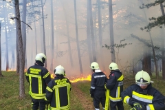 20240723_Waldbrand in Grillenberg - Gemeinde Hernstein NÖ Bezirk BADEN