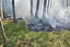 20240723_Waldbrand in Grillenberg - Gemeinde Hernstein NÖ Bezirk BADEN