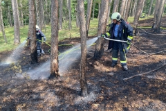 20240723_Waldbrand in Grillenberg - Gemeinde Hernstein NÖ Bezirk BADEN