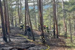 20240723_Waldbrand in Grillenberg - Gemeinde Hernstein NÖ Bezirk BADEN
