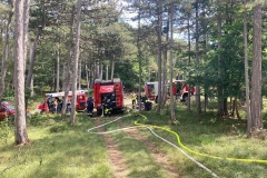 20240723_Waldbrand in Grillenberg - Gemeinde Hernstein NÖ Bezirk BADEN