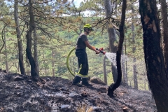 20240723_Waldbrand in Grillenberg - Gemeinde Hernstein NÖ Bezirk BADEN