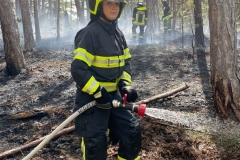 20240723_Waldbrand in Grillenberg - Gemeinde Hernstein NÖ Bezirk BADEN
