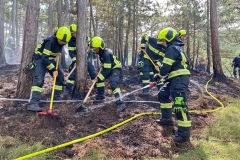 20240723_Waldbrand in Grillenberg - Gemeinde Hernstein NÖ Bezirk BADEN