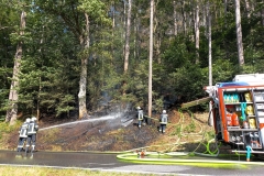 Waldbrand-Grabenweg-11-cmpr