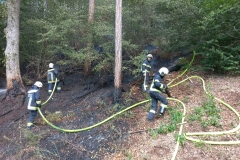 Waldbrand-Grabenweg-15-cmpr