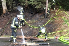 Waldbrand-Grabenweg-16-cmpr