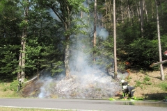 Waldbrand-Grabenweg-2-cmpr