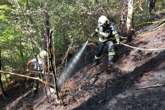 Waldbrand-Grabenweg-21-cmpr