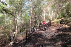 Waldbrand-Grabenweg-25-cmpr