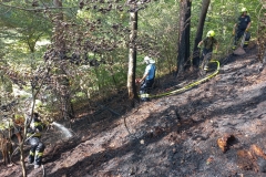 Waldbrand-Grabenweg-26-cmpr