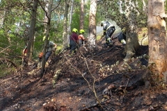 Waldbrand-Grabenweg-27-cmpr