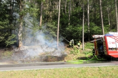 Waldbrand-Grabenweg-3-cmpr