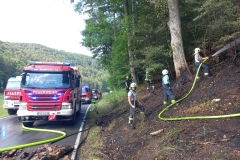 Waldbrand-Grabenweg-39-cmpr