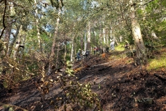 Waldbrand-Grabenweg-47-cmpr