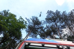 Waldbrand-Grabenweg-50-cmpr