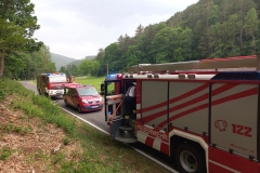 Waldbrand-Grabenweg-55-cmpr