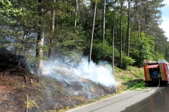 Waldbrand-Grabenweg-9-cmpr