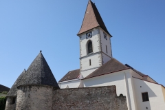 IMG_6813-cmpr