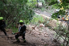 IMG_7358-cmpr