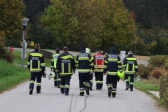 IMG_7501-cmpr