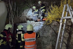 20260319_192221-cmpr